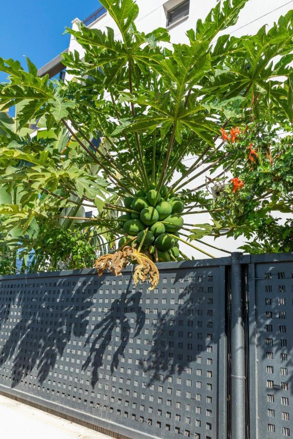 Medano4You The Strelitzia Terrace El Médano Exterior photo